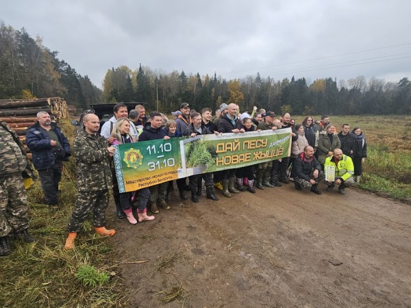 Сохраним Лес