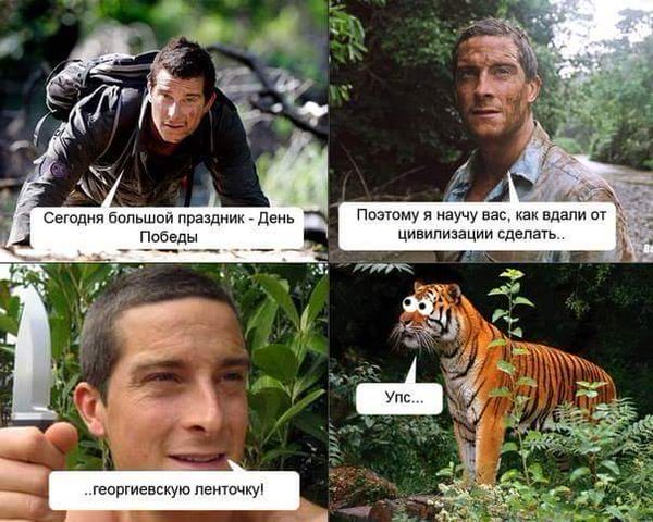 beargrylls.jpg