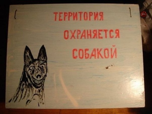 dog.jpg