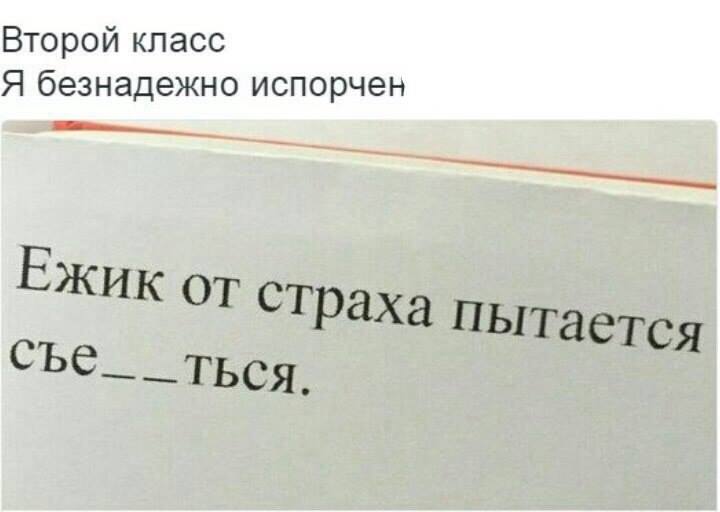 Еж.jpg