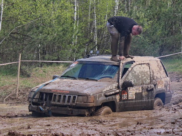 Бобры