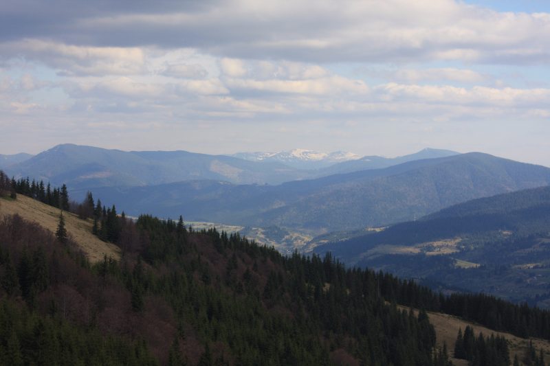 IMG_7346.jpg