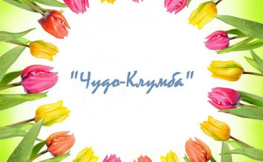 _resized_1-tsvety-tyulpany-minsk-skidka-ermolkevich.jpg