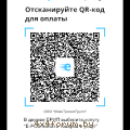 Борисовский триал 2026. 01 августа 2026 qrcode-Триал.png